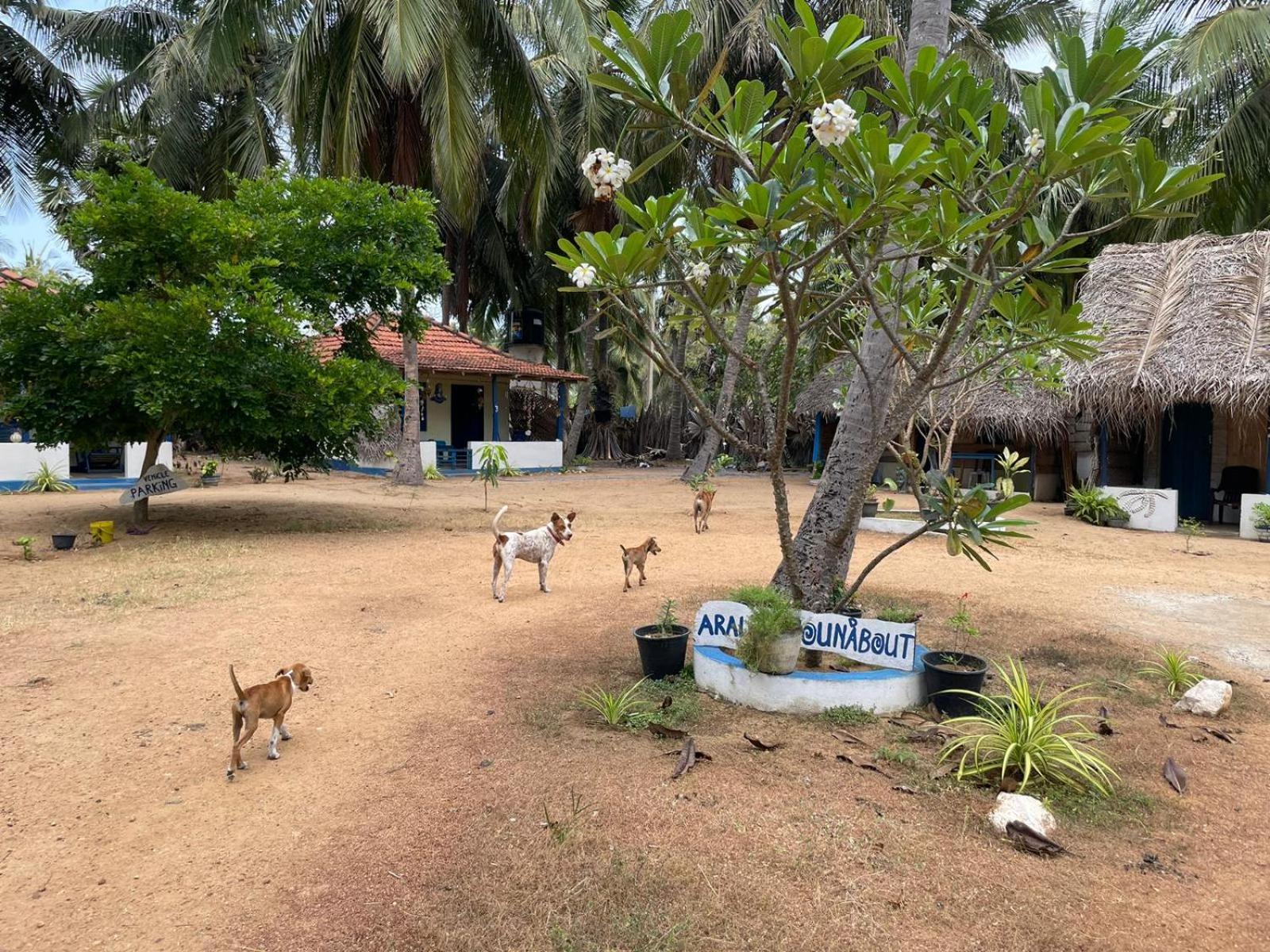 Araliya Villa Kalpitiya Exterior photo